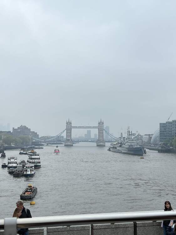 IMG_3647.jpeg