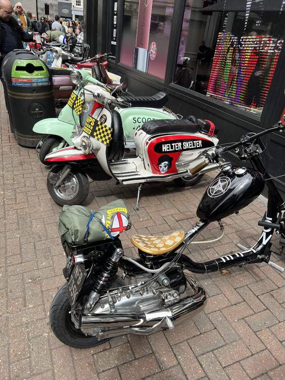 IMG_3727.jpeg