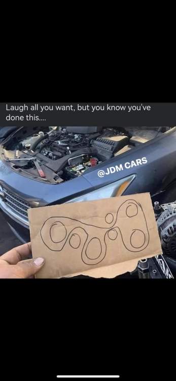 FB_IMG_1718313234047.jpg