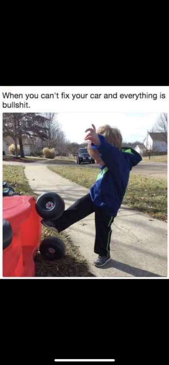 FB_IMG_1719229778428.jpg