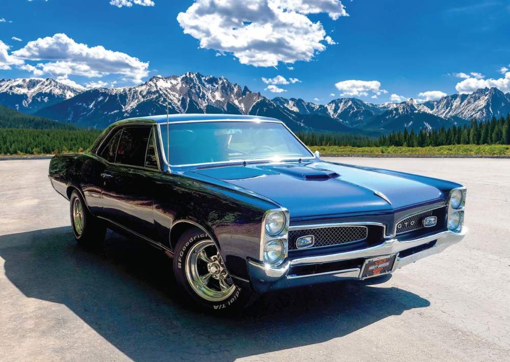 Skinner's GTO.jpg