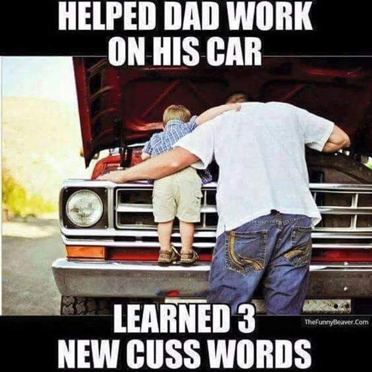 helpingdad(1).jpg.a8c53c9f48737586a7496cec247983c2.jpg