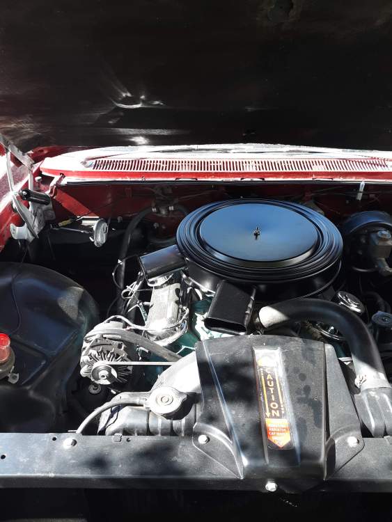 1960 engine bay view 2.jpg