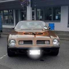 75Bird