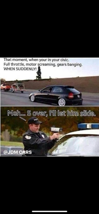 image.thumb.png.10d7973e4025163145111cd5076e1378.png