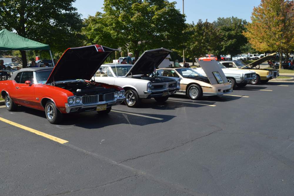 DSC_0156 - Copy.JPG