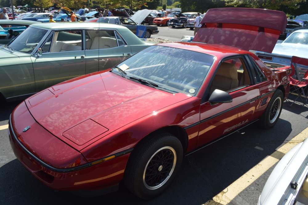 DSC_0187 - Copy.JPG