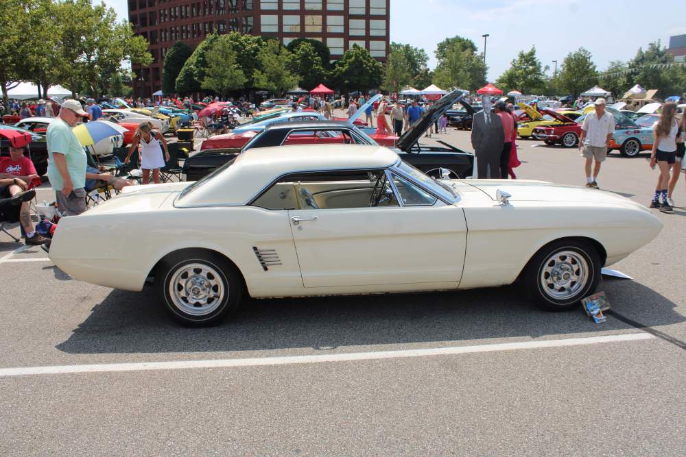 IMG_0271.thumb.JPG.c4842398ae8fc8b58405c73a4c85b801.JPG