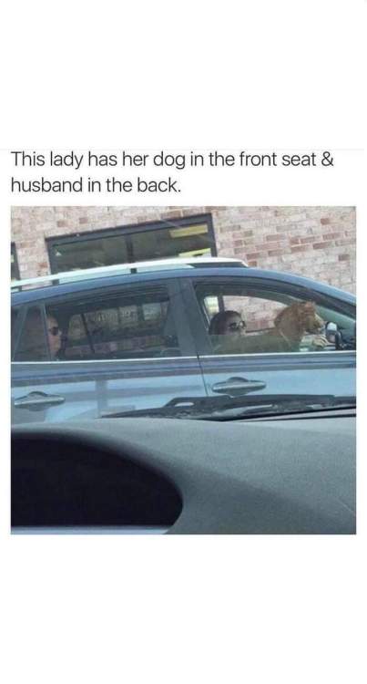 FB_IMG_1725640296660.thumb.jpg.e2ee674d8b62e4758d8f728d4b3c0af3.jpg