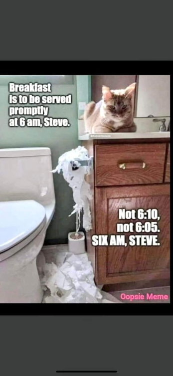 image.thumb.png.962883ba0836303383cc248fa2083e6c.png