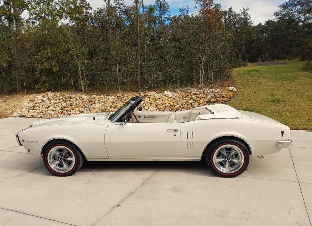 wheels2.jpg