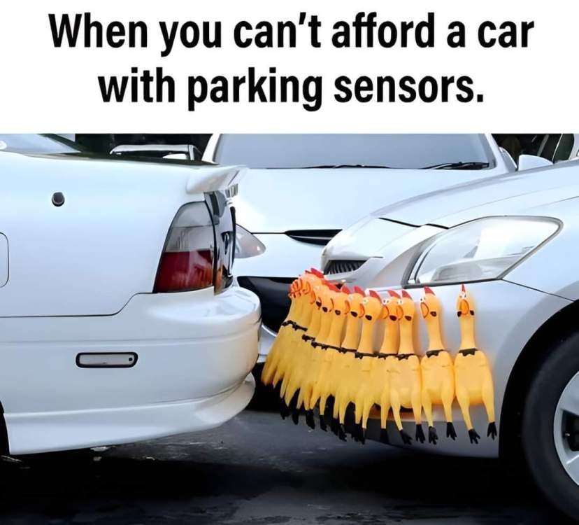 FB_IMG_1728471565571.jpg