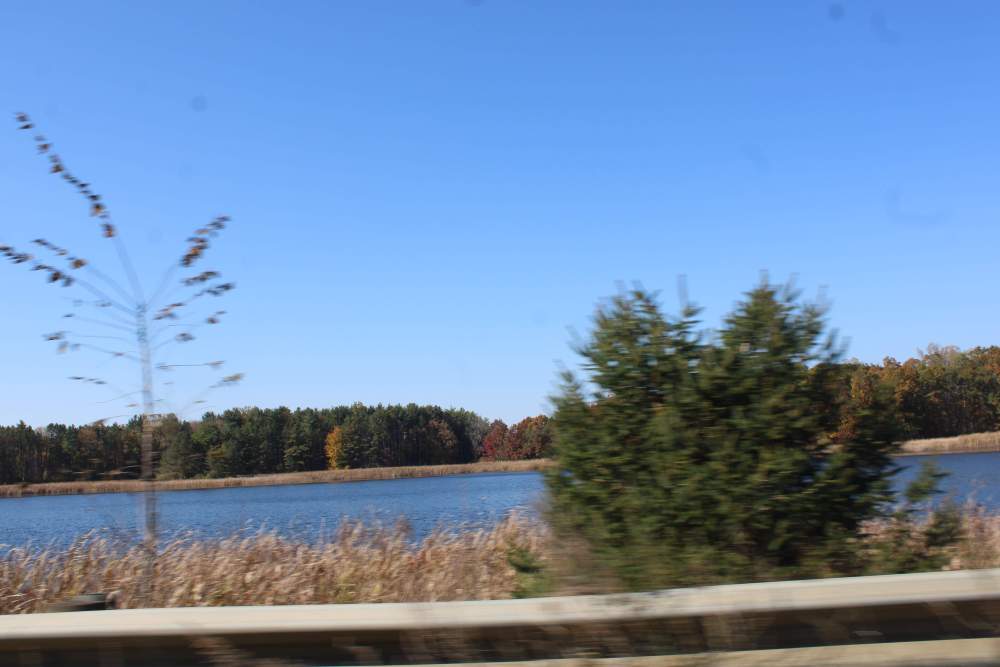 IMG_1380.thumb.JPG.8b2dead339bd5286b3bbd380696fba2b.JPG