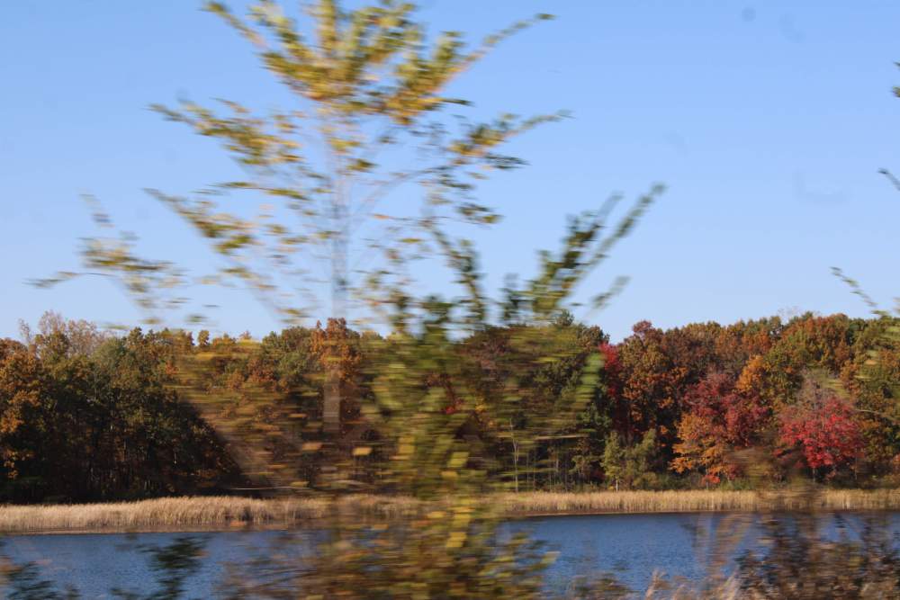 IMG_1434.thumb.JPG.4e66fc0ad8803ccd7550222ccaff3cd0.JPG