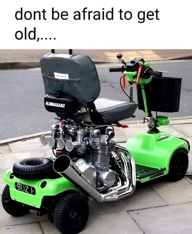 FB_IMG_1727621696773.jpg