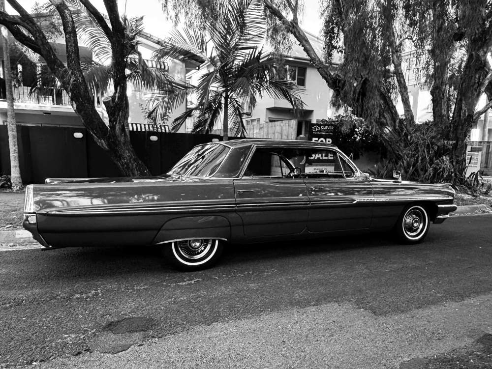 IMG_2931.jpeg