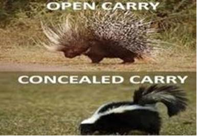 image.png.a70556aacf131fa8d543140e8580db57.png
