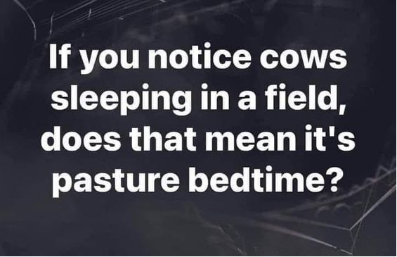 image.png.c6337827bac30a469454a14f6e664813.png