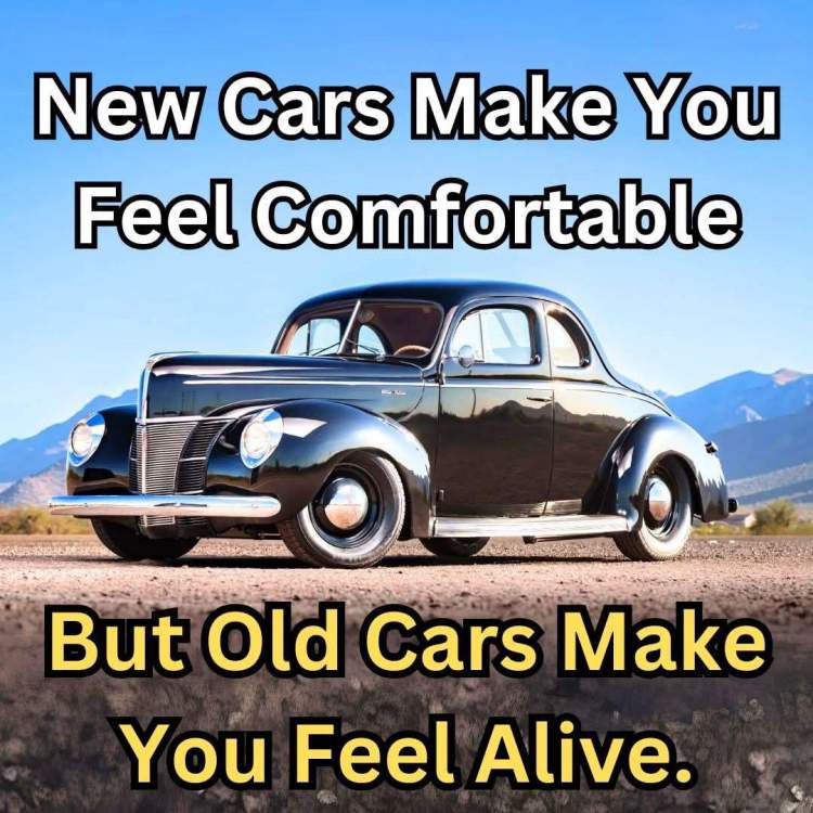 FB_IMG_1741627964215.jpg