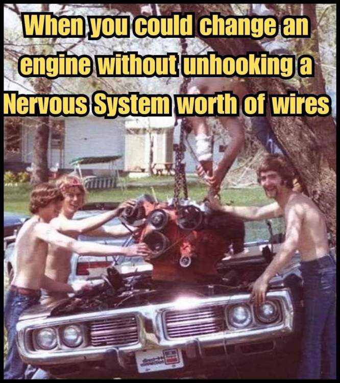 FB_IMG_1741833988029.jpg