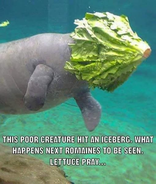 image.png.a8dde9e6af83bb0867244f2df6cf2372.png