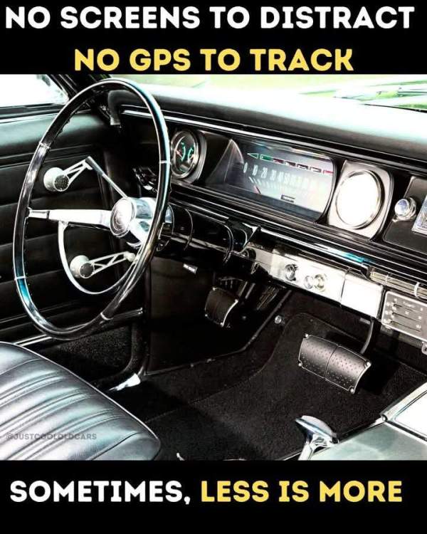 FB_IMG_1743388001843.jpg