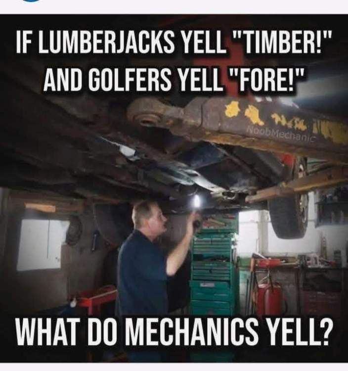 FB_IMG_1743408839618.jpg