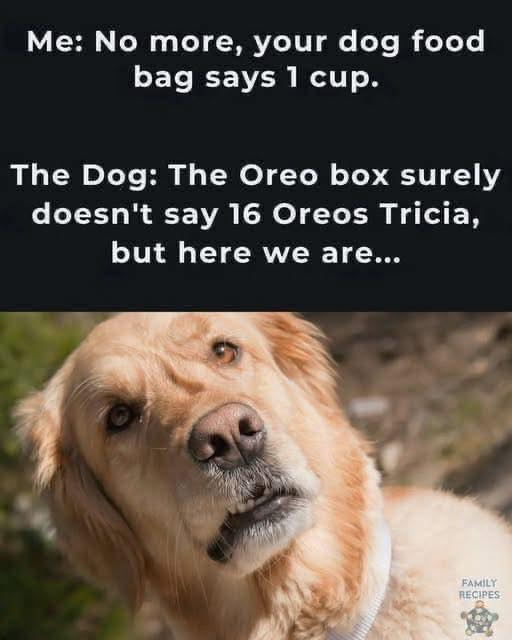 image.png.1cf1a8bd042f70e81794b202d4c6b6af.png