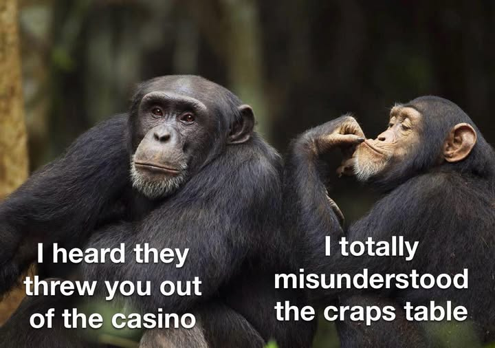 image.png.7c8aaa88f85f97414cf127db2d9255d0.png