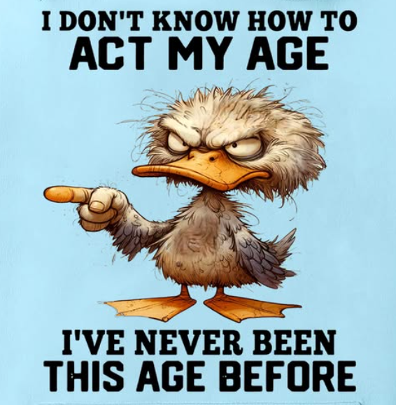 image.png.912a38f956d60b2e90278923ec6bc707.png