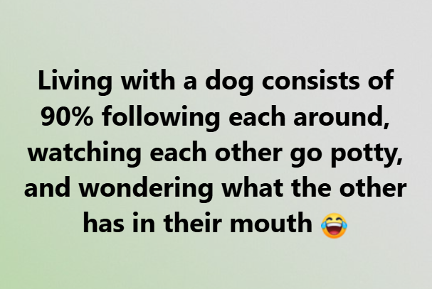 image.png.d6517179b5e439101ee0f073d1106319.png