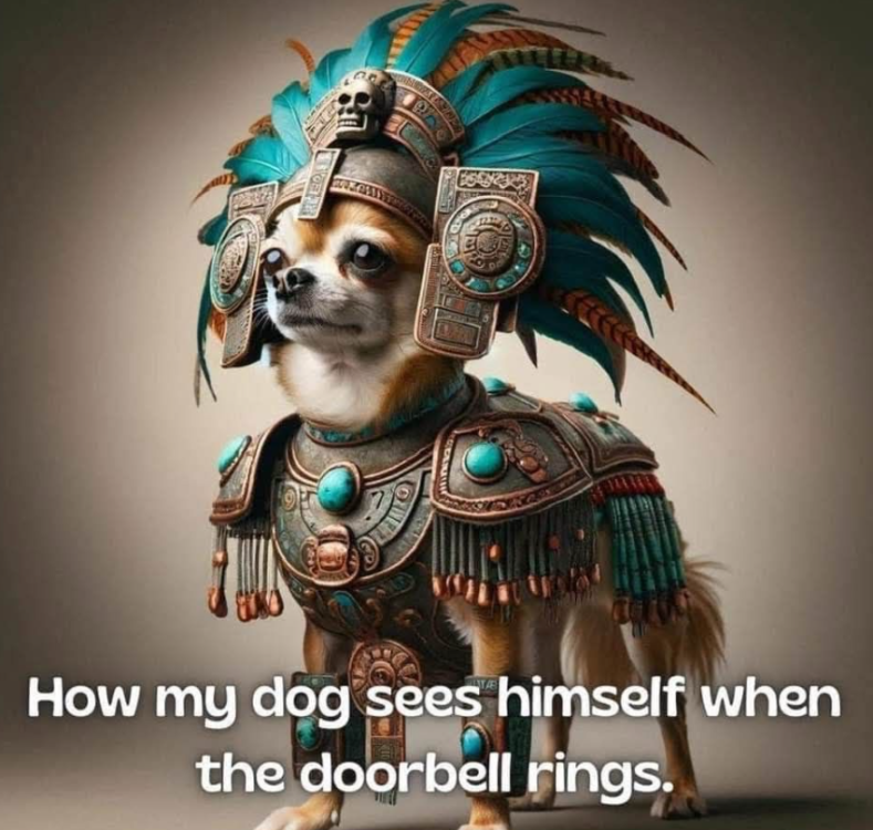 image.thumb.png.2bfd5e087e772fe126b997ebd14d1a6b.png