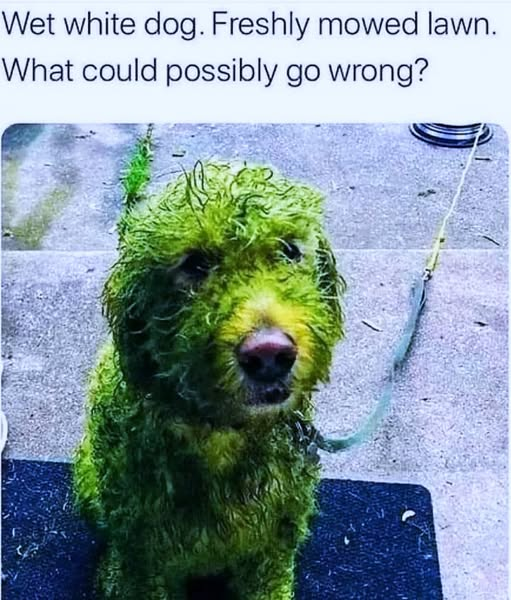 image.png.37e3536ba6ea1e6f9b5dec0ae1eeb894.png