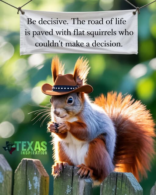 image.png.60067f14e04b91108e061a78828f16fd.png