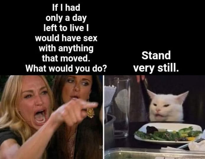 image.png.99493f7b91c36a716e924265b09f16e8.png