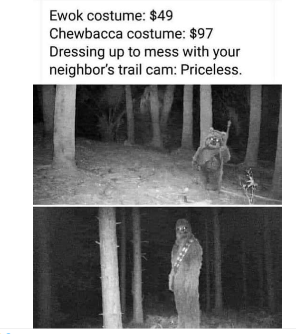 image.png.b1c298603ea92f39aa0500d98e32bf04.png