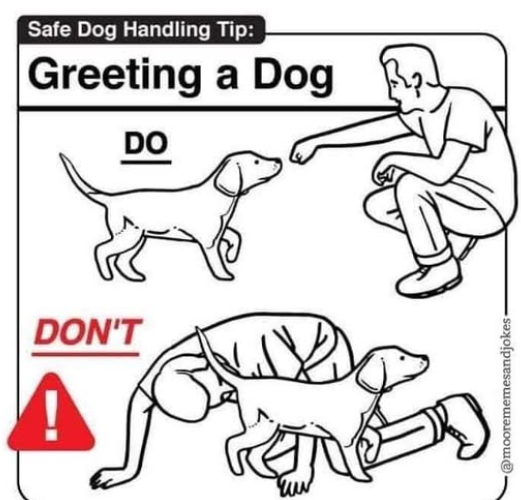 image.png.f1ee6e2b06033b4f74730baa17de39cc.png