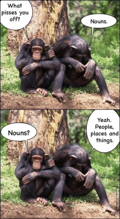 image.thumb.png.8a993fac3cbabfc56648a09ee0d80e3d.png