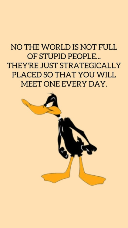 image.thumb.png.9e90fc883bd622241241d3545358fd77.png