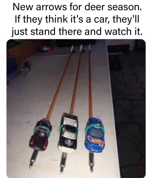 FB_IMG_1750034403850.jpg