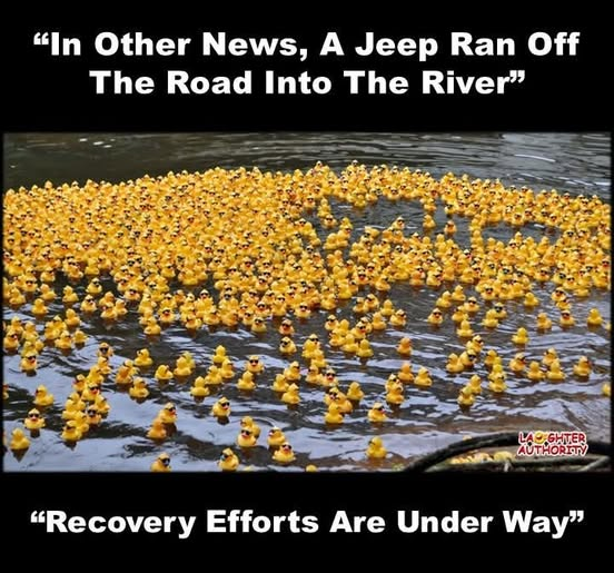 image.png.644d0b8438cc1b56a2a97b498fbd8ad8.png