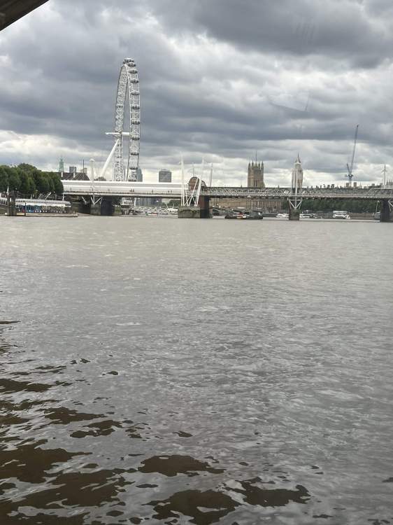 IMG_6718.jpeg