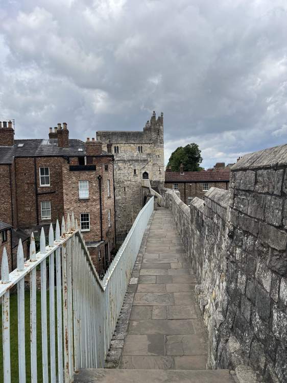 IMG_7060.jpeg
