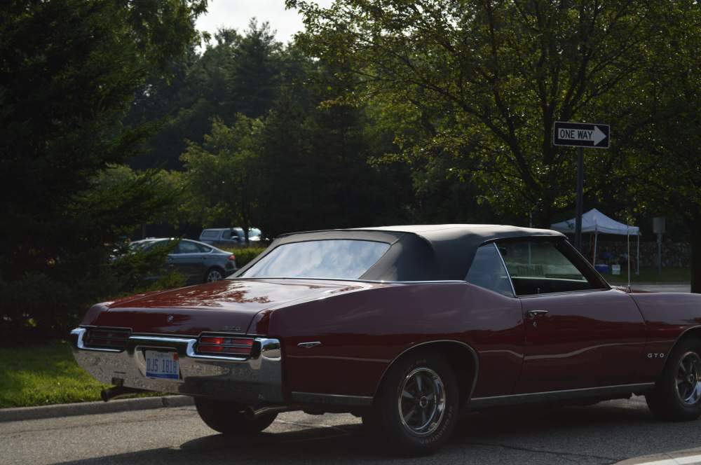 DSC_0910 - Copy (2).JPG