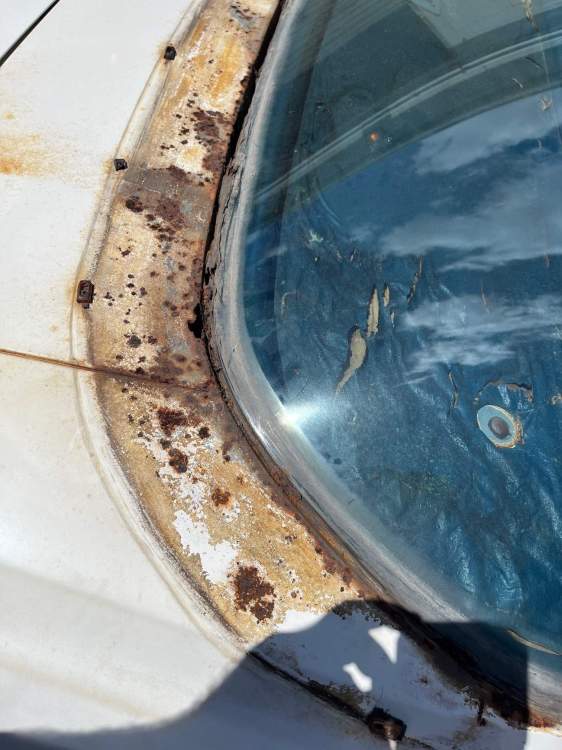 Passenger side rear window.jpg