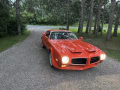 IMG_6761.jpeg