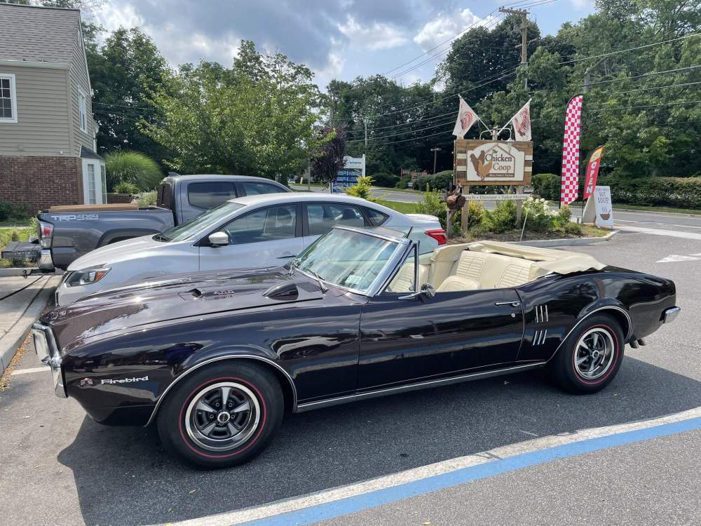 Firebird Side.jpeg