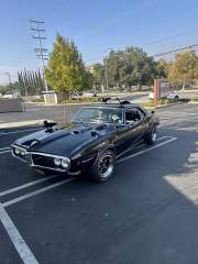IMG_6550.jpeg
