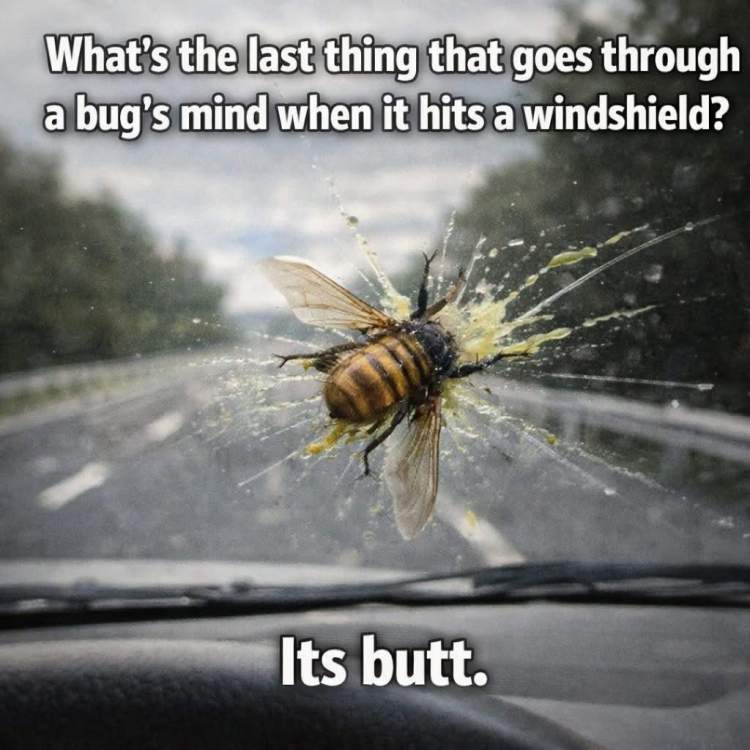 IMG_4886.jpeg