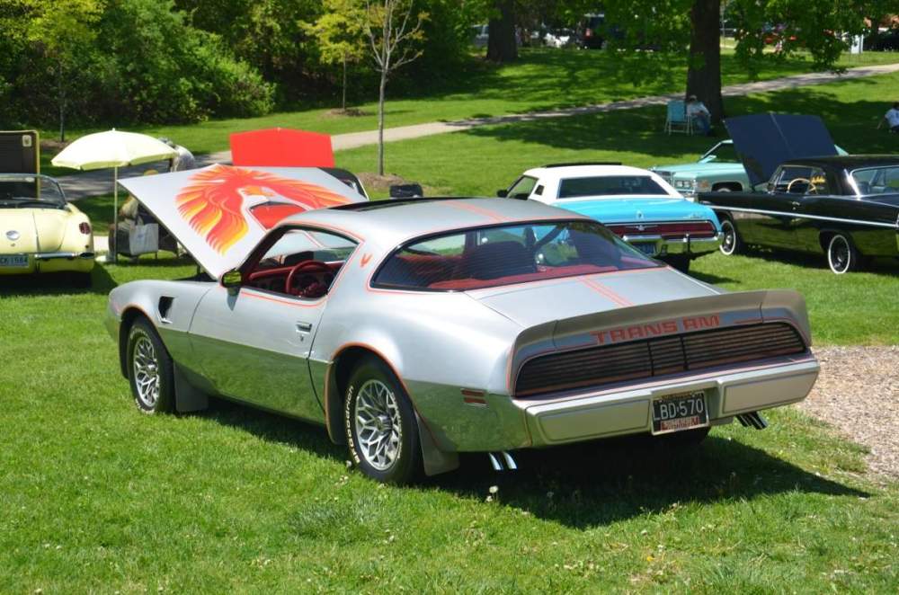 2014 Festival of Cars_.jpeg